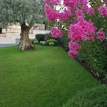 Magnolia * Musalez