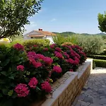 Apartman Magnolia Musalez