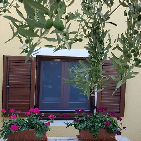 Magnolia Апартаменты Musalez