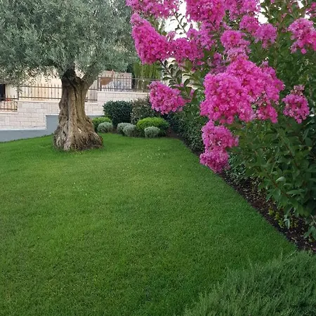 Magnolia * Mušalež