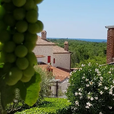 Apartman Magnolia Mušalež