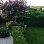 Magnolia *